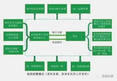 中国猕猴桃产业发展报告 2017 全文